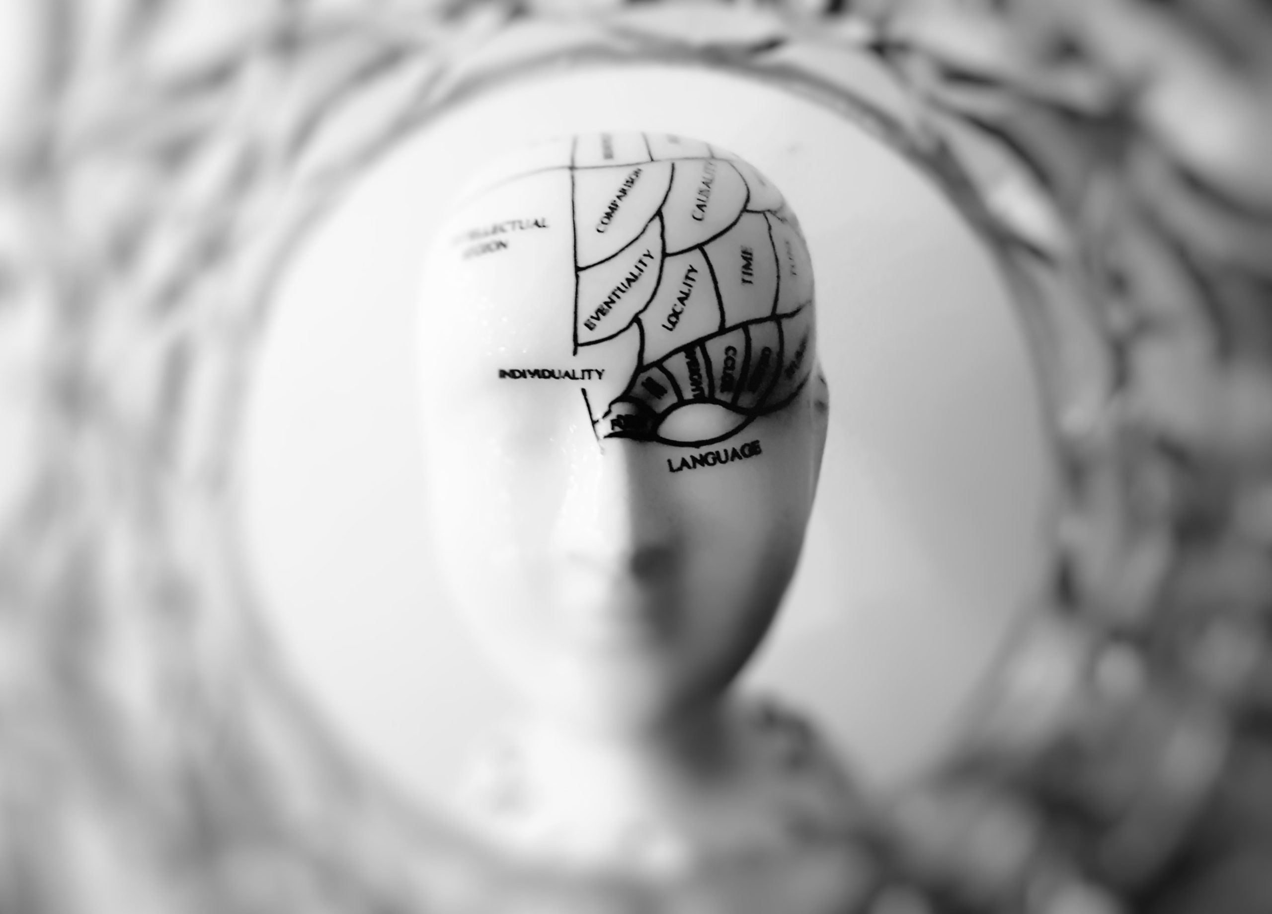 Brain. Image by Meo from Pexels